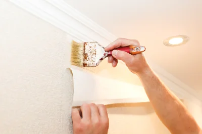 Pose de papier peint à Veyssilieu — revêtements muraux et toiles de verre